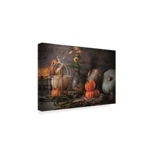 Christine Sainte-Laudy 'Pumpkin Family' Canvas Art,16x24